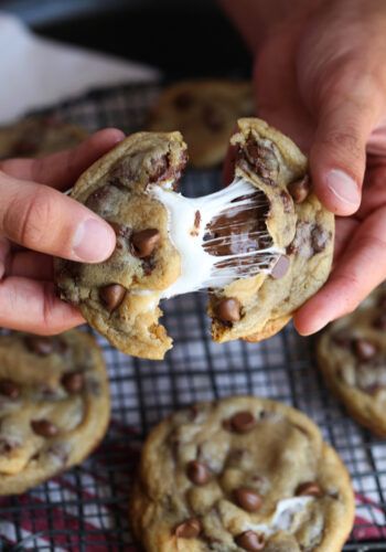 Smores Stuffed Chocolate Chip Cookies Smores Cookies Recipes, Bbq Sauce Homemade Easy, Stuffed Chocolate Chip Cookies, Cookies And Cups, Soft Cookie Recipe, Cookie Cups Recipe, Smore Recipes, Jelly Cookies, Decorating Frosting