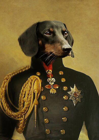 historical portrait golden retriever • Millions of unique designs by independent artists. Find your thing. Labrador Painting, Pets Painting, Dachshund Portrait, Arte Dachshund, Animals Portrait, Royal Dog, Dogs Painting, Royal Pet Portrait, Pets Portrait