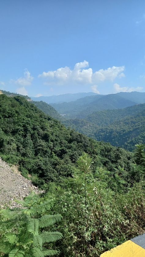 Beautiful hills, Himachal Pradesh Near Parwanoo Himachal Pradesh, Trees