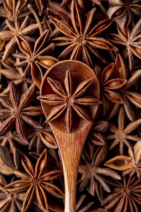 Is Star Anise Good for You? 10 Health Benefits Star Anise Benefits, Recipe Book Covers, Premium Spices, Anise Seed, Spice Shop, Organic Spice, Christmas Time Is Here, Fall Spices, Organic Honey