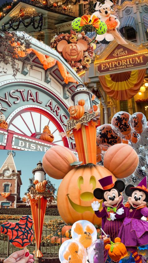 Celebrating the fall season at Disney 🎃 Mickey’s Not So Scary Halloween Party Disney World Halloween Disneyland Mickeys Halloween Party, Mickeys Not So Scary Halloween, Disney World Halloween, Mickey Halloween Party, Not So Scary Halloween Party, Not So Scary Halloween, Disneyland Halloween, Mickey Halloween, Disney Collage