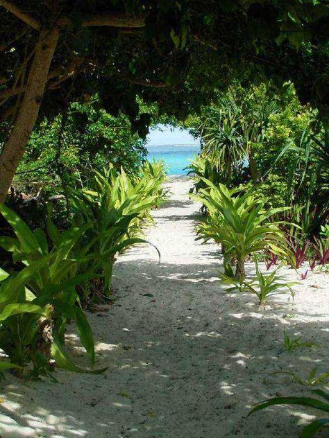 Mystery Island Vanuatu, Beach Path, Island 2, South Pacific, Tropical Islands, White Sand, Tropical Beach, Vanuatu, Beach Life