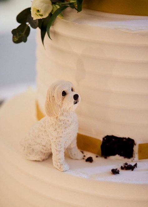 Dog Eating Wedding Cake Figurine, Dog Peeking Out Of Wedding Cake, Wedding Cake Dog Figurine, Dog Biting Wedding Cake, Peek A Boo Wedding Cake, Dog Wedding Topper, Wedding Flower Dog, Dogs On Wedding Cake, Small Wedding Cake With Dog