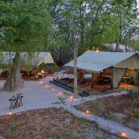 Glamping Aesthetic, Forest Pavilion, Camping Cafe, Beach Glamping, Unique Glamping, Tents Camping Glamping, Lodge Aesthetic, Forest Cafe, Glamping Ideas