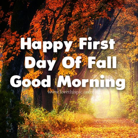 1st Day Of Autumn, Grandparents Quotes, Autumn Woods, First Day Of Autumn, Fall Quotes, Good Morning Happy Sunday, First Day Of Fall, Fall Images, Falling In Love Quotes