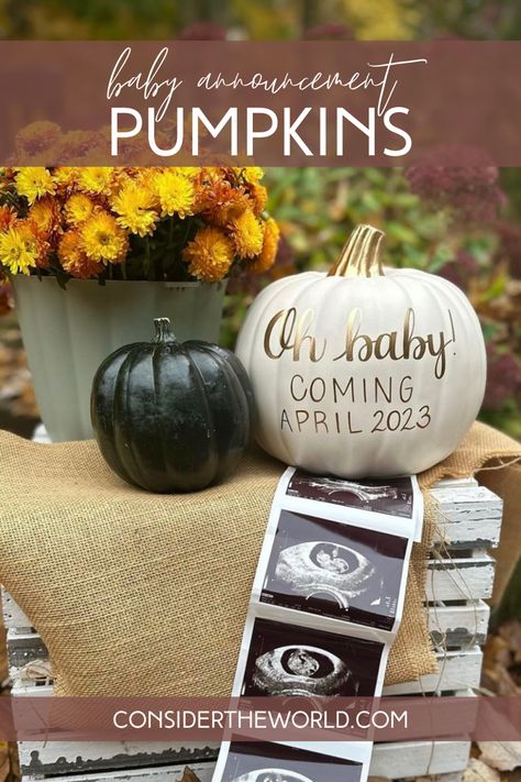 A white faux pumpkin with gold calligraphy reading, “Oh baby! Coming April 2023” sitting next to some autumn flowers and an ultrasound photo of a baby. Gender Reveal Pumpkin, October Pregnancy Announcement, Pumpkin Gender Reveal, Types Of Pumpkins, Fall Pregnancy, Fall Pregnancy Announcement, Instagram Photoshoot, Blue Pumpkin, Faux Pumpkins