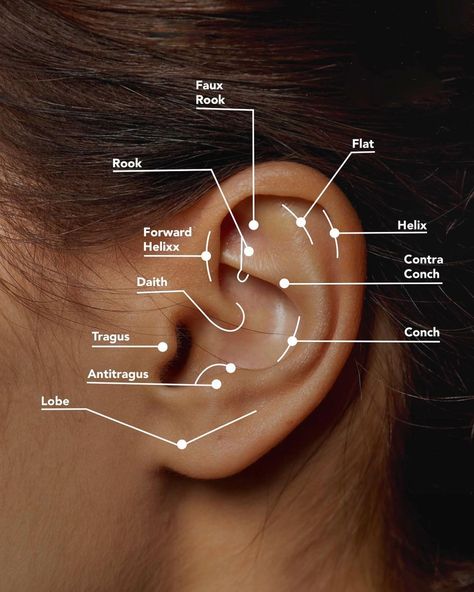 Ear Piercing Chart Pain, Ear Piercings Placement Chart, Bar Ear Piercing, All Ear Piercings, Ear Piercing Names, Top Ear Piercing, New Ear Piercing, Different Ear Piercings, Ear Cuff Piercing