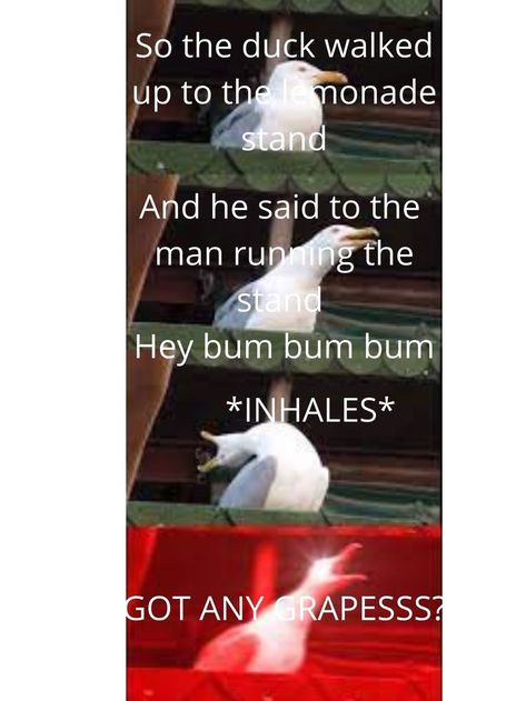 Funny Seagull, Bird Meme, The Seagull, Funny Disney Jokes, Disney Jokes, Lemonade Stand, Disney Funny, I Made It, Really Funny Memes