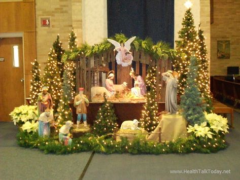 St Albert the Great Nativity. North Royalton, Ohio  #Christmas   ➤ Image credit: www.HealthTalkToday.net Pesebres Navidad Ideas Grandes, Christmas Crib Set, Christmas Church Decorations, St Albert The Great, Advent Church Decorations, Christmas Cave, Christmas Nativity Images, Ohio Christmas, Christmas Crib Ideas