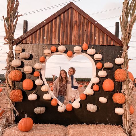 Pumpkin Patch Business, Pumpkin Patch Decoration, Indoor Halloween Decor Ideas, Porch Decor Halloween, Halloween Coffee Bar, Fall Photo Booth, Fall Festival Decorations, School Fall Festival, Pink Halloween Decor