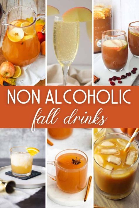 Alcoholic Fall Drinks, Mock Cocktails, Fall Apple Cider, Apple Cider Drink, Fall Drink Recipes, Cider Drinks, Kid Friendly Drinks, Apple Drinks, Spiced Drinks