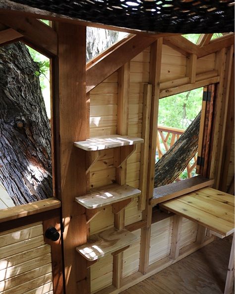 Dutch door, bookshelves, and a fold-up table inside the treehouse. Door Bookshelves, Custom Treehouse, Treehouse Design, Tree House Interior, Tree House Plans, Tree Fort, Tree House Diy, Build Business, Tree House Kids