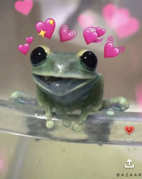 Aesthetic Frogs, Frog Love, Tree Frog Tattoos, Frog Heart, Aesthetic Frog, Pet Frogs, Frog Meme, Frog Theme, Frog Wallpaper