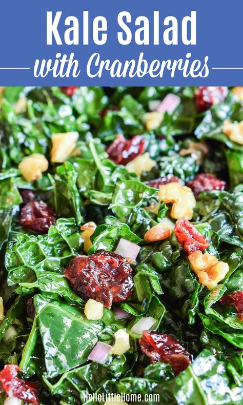 Cranberry Kale Salad Recipes, Kale And Cranberry Salad, Kale Cranberry Walnut Salad, Kale Cranberry Salad Recipes, Fresh Kale Salad Recipes, Red Kale Salad, Best Kale Salad Dressing, Kale Pecan Cranberry Salad, Barley Kale Salad