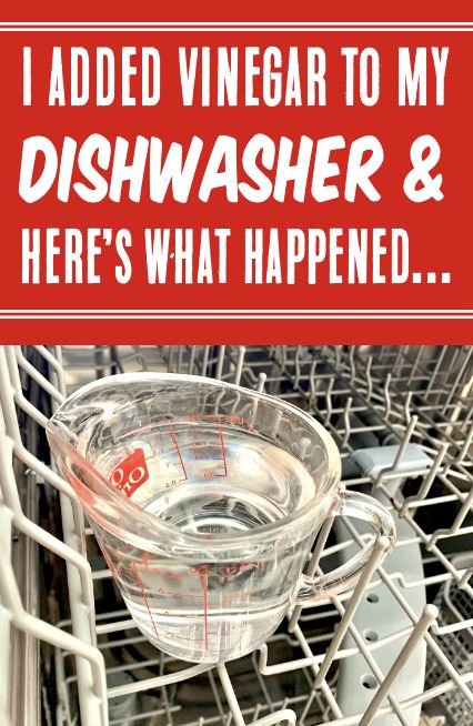 How to Clean Dishwasher with Vinegar How To Wash Dishwasher, How To Clean Your Dishwasher Diy, Smelly Dishwasher Cleaning, How To Clean The Inside Of A Dishwasher, How To Sanitize Dishwasher, How To Get Smell Out Of Dishwasher, How To Clean My Dishwasher, Cleaning Dishwasher Deep, Cleaning The Dishwasher