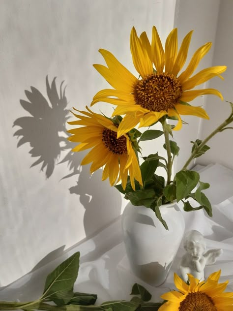 Potted Plant Reference Photo, Sunflower In Vase, Still Life References, Eclectic Paintings, Sunflower Vase, Sunflower Photography, Still Life Pictures, Life Drawing Reference, Flower Pot Design