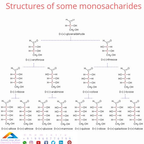 Monosaccharides Structure, Chemistry Basics, Biochemistry, Biology, Line Chart, Chemistry, Quick Saves