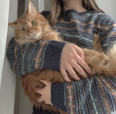 Ginger cat, main coon, big cat, cat aesthetic Granger Aesthetic, Study Girl, High Shelf, Three Broomsticks, Character Vibes, Potter Aesthetic, Cheese Grater, Rory Gilmore, Best Seasons