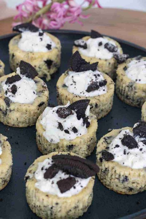 These Oreo Cheesecake Bites are an easy dessert for cheesecake lovers. They only require 5 simple ingredients and bake like mini cupcakes. Mini Cupcakes Recipe, Mini Oreo Cheesecake Bites, Mini Cupcake Recipes, Oreo Cheesecake Cupcakes, Cheesecake With Whipped Cream, Oreo Cheesecake Bites, Mini Oreo Cheesecake, Cream Cheese Oreo, Birthday Cake Decorating Ideas