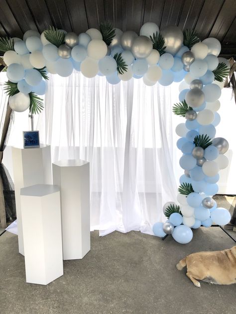 Blue White Theme Birthday Party, Light Blue Silver And White Party Decorations, Blue White Balloon Decorations, Blue White Silver Birthday Decorations, Birthday Theme Blue And White, Blue And White Balloon Backdrop, Home Bissness Ideas, Blue White Birthday Theme, Blue And White Backdrop Ideas