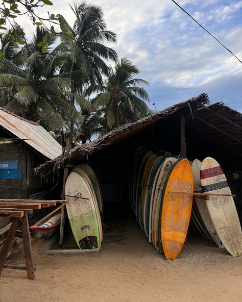 surf boards in a board rental shop on beach in Sri Lanka arugam bay Arugam Bay, Aragon, Sri Lanka, Quotes, Photography, Travel, Quick Saves