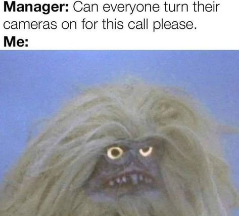 40 Relatable Memes & Tweets Sprinkled With Seasonal Humor - Memebase - Funny Memes Netflix Memes Funny, Hilarious Photos, Perfectly Timed Photos, Life Memes, Funny Memes, Humor, Tv, Memes, Funny