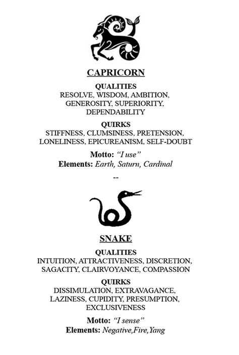 The Fire Snake Capricorn-Aquarius cusp: Fire meets Earth meets Air. I sense/I use. Capricorn Aquarius Cusp, Fire Snake, Capricorn Tattoo, Subtle Tattoos, Capricorn And Aquarius, Snake Tattoo, Symbolic Tattoos, The Fire, Astrology