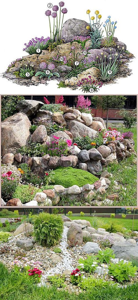 Garden With Rocks, Rockery Garden, Rock Garden Design, Rock Garden Landscaping, Have Inspiration, Garden Yard Ideas, Cactus Garden, Landscaping With Rocks, Beautiful Picture