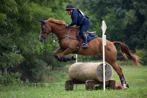 Stadium and Cross-country Sampler: Richland Park Horse Trials | Flickr - Photo Sharing! Xc Horse, Equine Cross Country, Crosscountry Horse, Schleich Cross Country Jumps, Eventing Cross Country, Crosscountry Horse Jumps, Cross Country Jumps, Horse Barn Ideas Stables, Western Horse Jumping