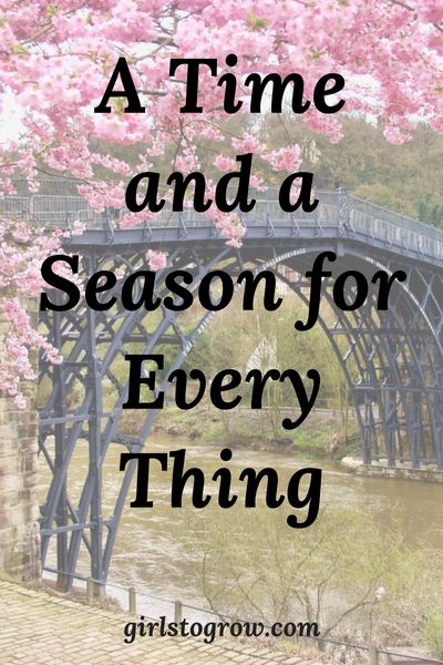 Lessons to remember as your season of life changes. Seasons Of Life Quotes, Senior In High School, Spiritual Garden, Life Quotes Relationships, Friends Change, Ladies Tea, Parenting Challenge, Season Quotes, Faith Blogs