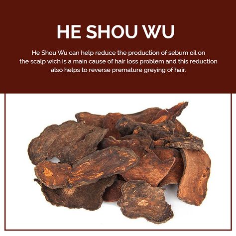 He Shou Wu Benefits, He Shou Wu, Whats App, Book Your Appointment, Hair Health, Hair A, Meat Jerky, Natural Health, Follow Us