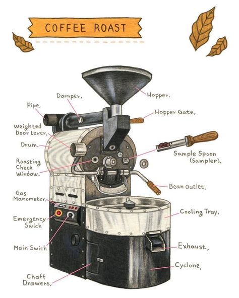 Valueble knowledge for any coffee lover Coffee Roaster Illustration, Coffee Roasting Illustration, Coffee Machine Illustration, Cafes Aesthetic, Roastery Coffee, Machine Illustration, Coffee Roasting Machine, Coffee Study, Coffee Shop Branding