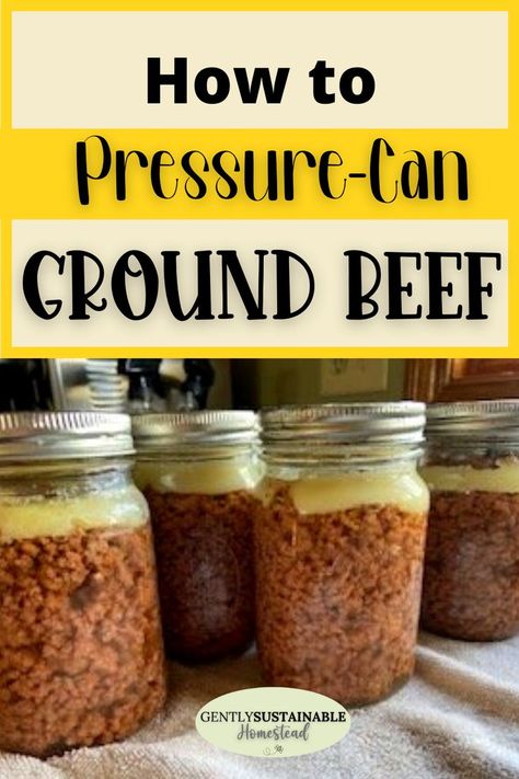 Even wondered if you could pressure can raw ground beef? Well, the answer is YES! I love having home-canned ground beef on the shelf for quick meals, let me show you how to do it, step by step! Want to learn how to can ground beef for quick meals? Look no further! #cangroundmeat Can Ground Beef, Winter Canning, Canning Chili, Pressure Canning Meat, Canning Meat, Pressure Canning Recipes, Ground Venison, Fermented Pickles, Canning Vegetables