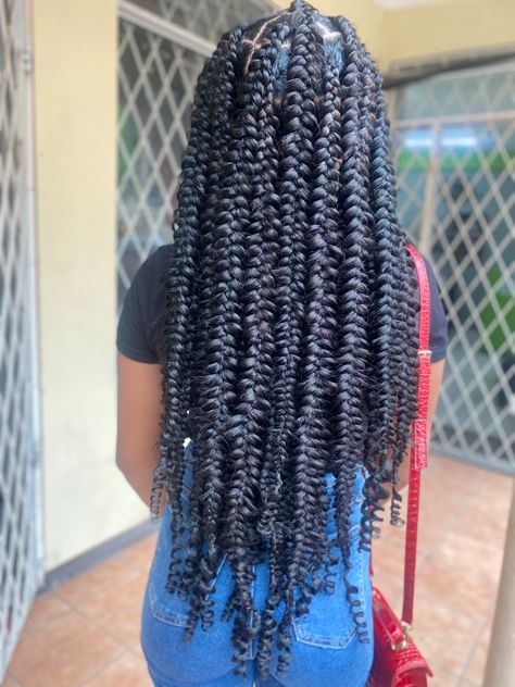 Passion Plait Braids, Passion Plaits, Plaits Hairstyles Black Women, Plait Braids, Plaits Hairstyles Black, Latest Braided Hairstyles, Job Goals, Plait Braid, Plaits Hairstyles