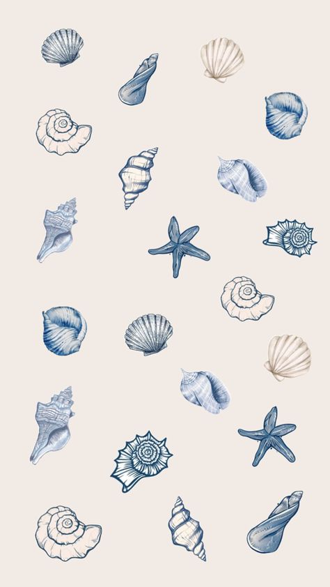 Cute shells x Blue Shell Wallpaper, Sea Shell Collage, Seashells Aesthetic, June Wallpaper, Beach Backgrounds, Blue Bg, Summer Moodboard, Cute Beach Pictures, Summer Wallpapers