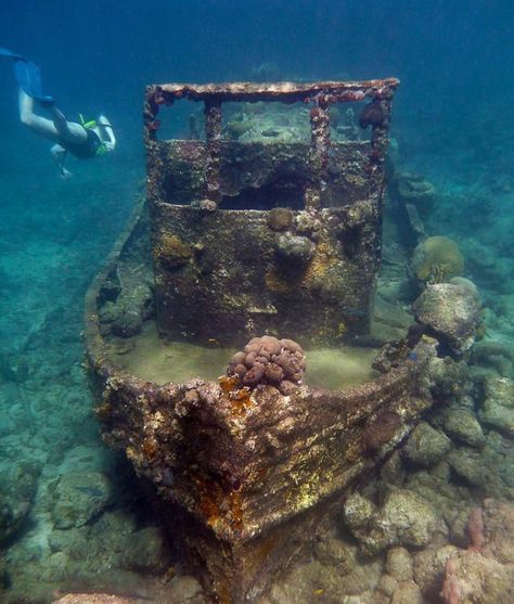 Underwater Shipwreck, Curacao Vacation, Sunken Treasure, Fauna Marina, Under The Water, Willemstad, Abandoned Ships, Backpacking Europe, Vacation Deals