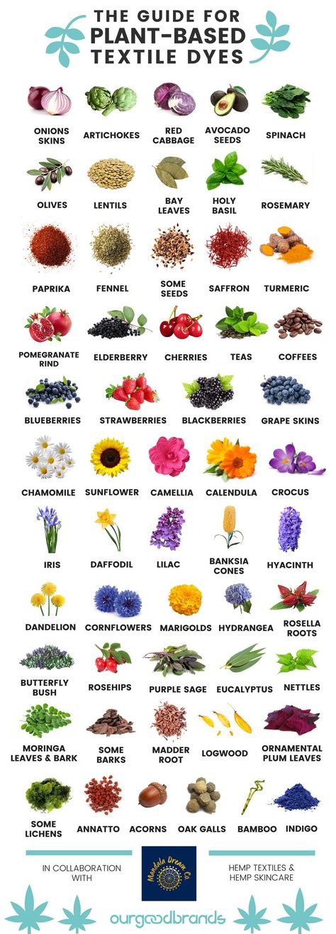 guide natural fabric dyes plant based flowers fruits vegetables infographic Plants For Dyeing, Plant Based Dyes, Natural Flower Print Fabric, Natural Dye Plants, Batik Artists Textiles, Plant Dyes How To Make, Natural Flower Dyeing, Natural Dyes For Soap, Vegetable Dyes For Fabric