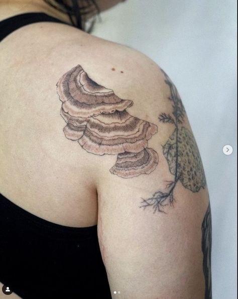 @statlew_ on instagram, don't remove credit Turkey Tail Mushroom Tattoo, Chanterelle Mushroom Tattoo, June Tattoo, Small Nature Tattoo, Harmony Tattoo, Tattoo Dream, Japanese Leg Tattoo, River Tattoo, Wood Tattoo