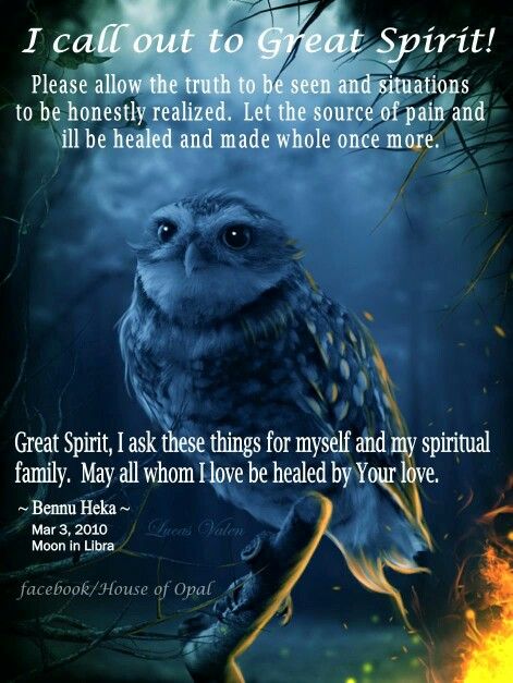 Cosmic Quotes, Shadow Work Spiritual, Owl Wisdom, Spirit Animal Totem, Spiritual Animal, Native American Wisdom, Breathing Meditation, Animal Spirit Guides, Spiritual Warrior