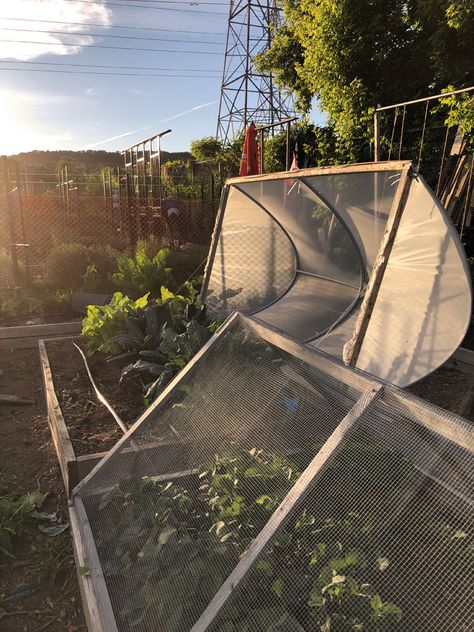 The DIY Hinged Hoop House: An Update. | The Art of Doing StuffThe Art of Doing Stuff Cabbage Moth, Hoop House, Raised House, Ideas For Backyard, Small City Garden, Garden Netting, Diy Playground, Greenhouse Plans, English Cottage Garden