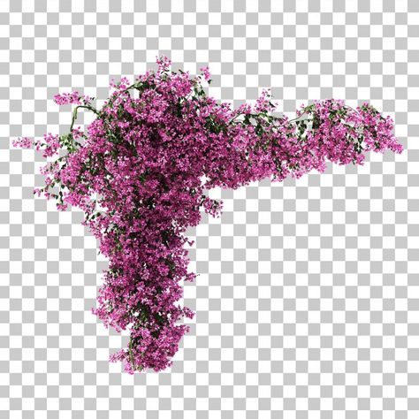 3d rendering of bougainvillea Premium Ps... | Premium Psd #Freepik #psd #flower #floral #tree #3d Landscape Architecture Presentation, Wedding Cards Images, Mad Design, Floral Tree, Perspective Drawing Lessons, Digital Invitations Wedding, Indian Wedding Invitation Cards, Flower Graphic Design