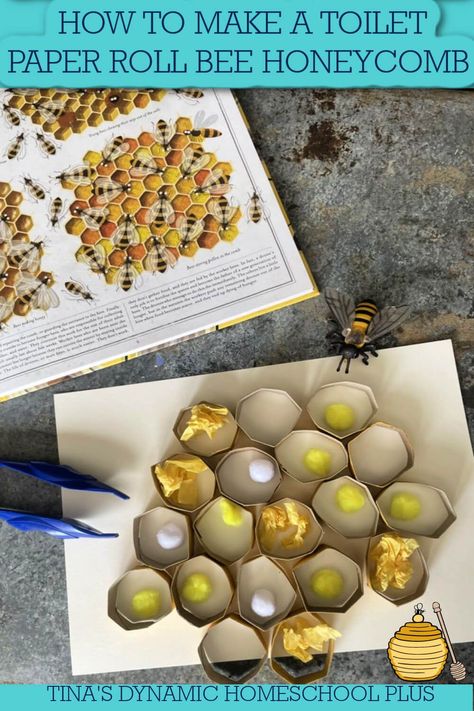 How to Make a Toilet Paper Roll Honeycomb Honey Bee Activity. This simple honey bee activity is not only a fun dramatic play idea for young learners but also can be used to build fine motor, math, science, and language arts skills. Also, look at my post Fascinating and Fun Honey Bees Unit Study and Lapbook for Kids. Honey bees are important to our food supply and even very young children can learn about their life cycles, the contributions they make to our food (including their delicious honey). Bee Homeschool Unit, Honey Crafts For Kids, Bee Kids Crafts, Honey Bee Crafts For Kids, Bee Activities For Preschool, Bee Activity, Forest Activities, Honey Bee Life Cycle, Free Unit Study