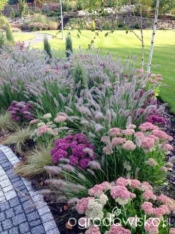 Coastal Porch, Ornamental Grass Landscape, Fall Flowers Garden, Jackson Ms, Grasses Landscaping, Planting Plan, Bedrooms Ideas, House Landscaping, Coastal Bedrooms