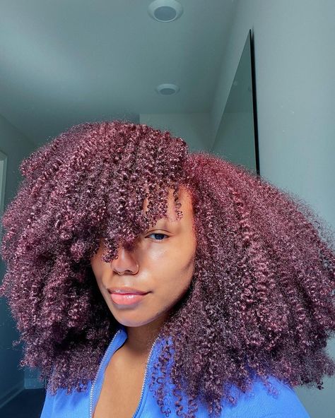 NaturalReign on Instagram: “I just.... it’s the red for me 🥺” 4a Natural Hair, Cute Natural Hairstyles, Black Hair Dye, Type 4 Hair, Dyed Natural Hair, Natural Curls Hairstyles, Natural Hair Updo, Types Of Curls, Dye My Hair