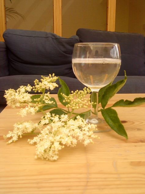 How to Make Elderflower Champagne (Plus Elderflower Cordial). Easy-to-follow steps for making delicious elderflower champagne or nonalcoholic elderflower cordial. Just pick your blossoms and combine them with water, lemons, sugar and white wine vinegar. Safety instructions and handy tips for foolproof success are included. Pineapple Infused Vodka, Apple Pie Moonshine Drinks, Pear Wine, Elderflower Recipes, Elderflower Champagne, Elderberry Wine, Champagne Recipe, Summer Vodka Cocktails, Peach Wine