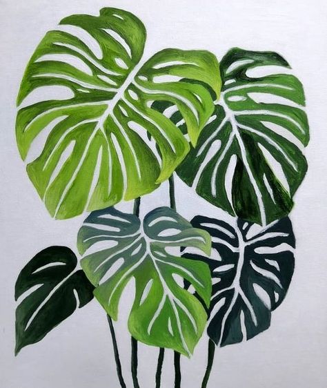 Monteras Plant Drawing, Monstera Painting Wall Art, Monstera Painting Acrylic, Monstera Leaf Drawing, Monstera Painting, Leaf Drawing, Textured Canvas Art, 수채화 그림, Watercolor Art Lessons