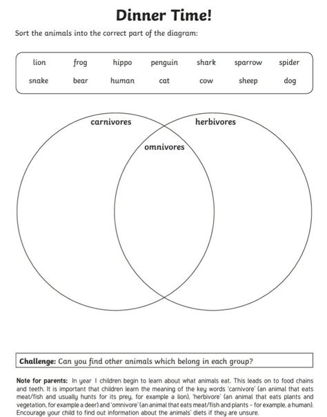 Identify And Name Animals, Carnivores, Herbivores and Omnivores. °Name that animal °Animal Sorting �°Animal Bodies Home Learning Homeschool Worksheets Printables Omnivores Carnivores Herbivores, Omnivore Carnivore Herbivore Worksheet, Carnivore Herbivore Omnivore Worksheets, Herbivore Carnivore Omnivore Activities, Comparative And Superlative Adverbs, Micro Teaching, Provocation Ideas, Pangolin Art, Animal Sorting