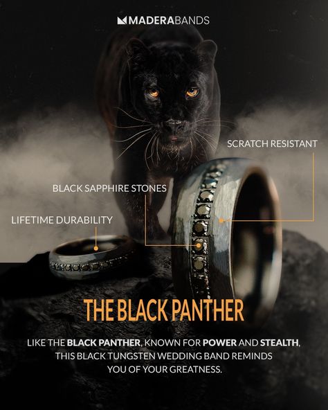 Black panther 2