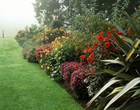 Shed Inspiration, Autumn Flowering Plants, Winter Vegetables Gardening, Plants Uk, Backyard Garden Landscape, Fall Garden Vegetables, Organic Vegetable Garden, Small Backyard Gardens, Best Plants