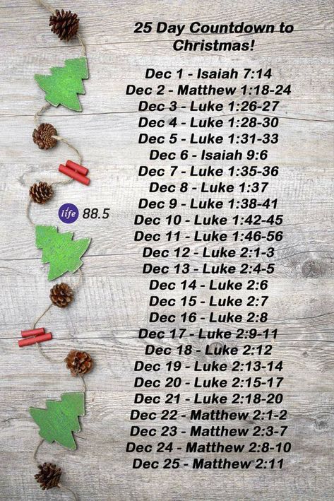 Christmas Scripture Bible Advent, Christmas Story Bible, Advent Scripture, Christmas Verses, Christmas Scripture, Christmas Bible Verses, Scripture Writing Plans, The Christmas Story, Christmas Prayer